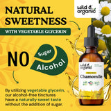 Wild & Organic frasco en mano mostrando escala y portabilidad