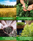 WILDFIELD HERBS producto en entorno de cocina, preparado para recetas caseras