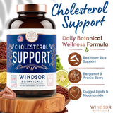 WINDSOR BOTANICALS cápsulas en mano para apreciar tamaño y facilidad de ingestión