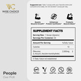 WISE CHOICE SUPPLEMENTS polvo mezclado en batido para recuperación rápida