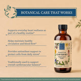 Wise Woman Herbals bayas de espino frescas enfocadas, resaltando origen natural