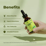 Wish Fusion uso en smoothie verde mostrando integración en bebidas nutritivas