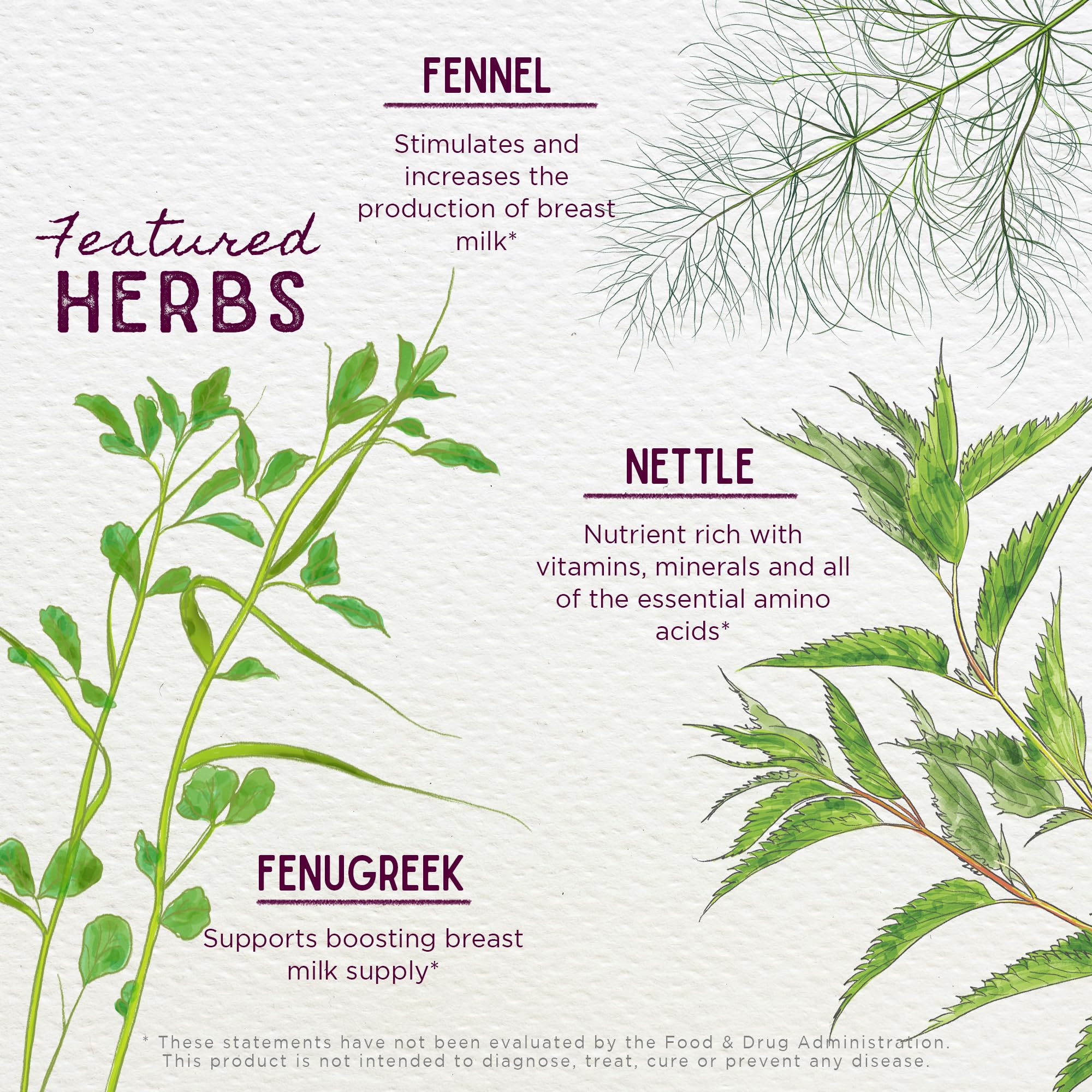 WishGarden etiqueta con ingredientes orgánicos y beneficios claros