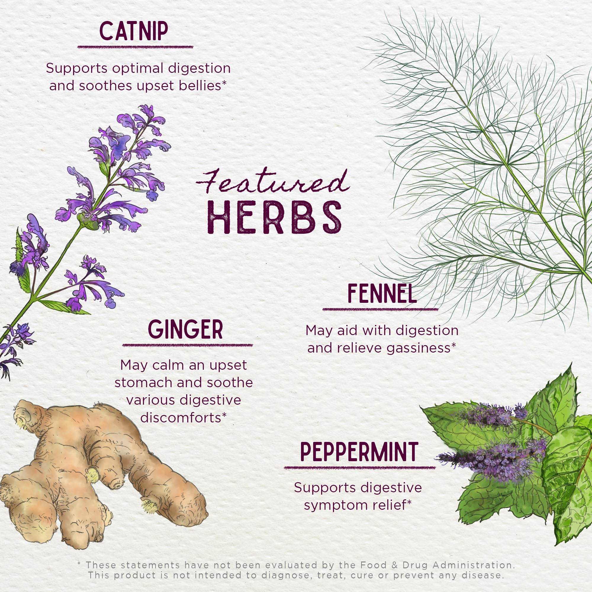 WishGarden ingredientes jengibre y menta que ayudan a calmar el estómago