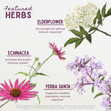WishGarden primer plano de equinácea, mostrando ingrediente orgánico clave
