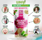 WIXAR NATURALS gel de sea moss en cuchara, preparación lista para recetas
