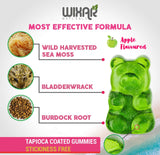 WIXAR NATURALS gomitas en mano para mostrar tamaño y fácil consumo