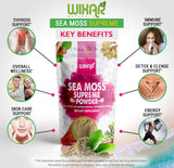 WIXAR NATURALS polvo incorporado en batido, aporte mineral en bebida nutritiva