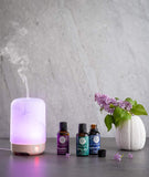 Woolzies aceite en difusor creando ambiente relajante en sala