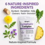 WXDOAU ingredientes botánicos secos: bardana, diente de león y kelp