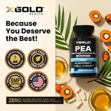 X Gold Health cápsula abierta revelando contenido micronizado y pureza