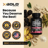 X Gold Health producto en mano para comparar tamaño y suministro