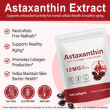 Xaarty microalga Haematococcus pluvialis fuente natural de astaxantina