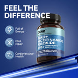 XKQ ilustración liposomal que representa absorción mejorada y estabilidad