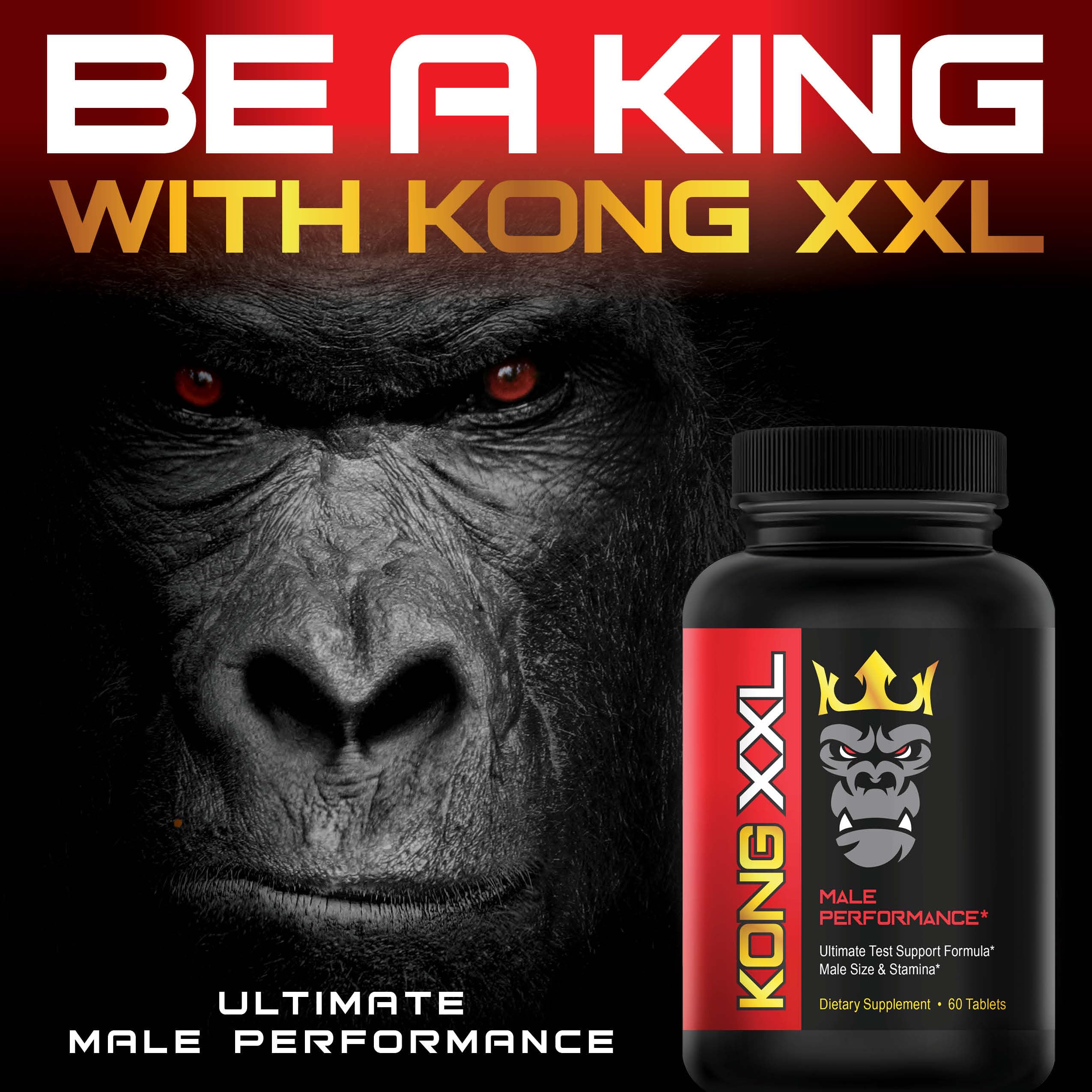 XL Science Kong XXL en ambiente lifestyle con gimnasio y confianza visual