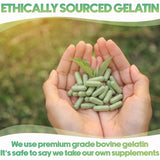 XPRS Nutra comparación de tamaño con monedas, muestra escala práctica