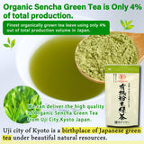 YAMASAN KYOTO UJI textura del polvo fino y homogéneo listo para mezclar