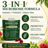 YANJIAYI ingredientes kombucha y raíz de diente de león, apoyo natural digestivo