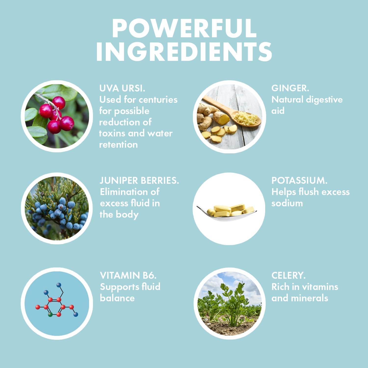 Yes You Can! ingredientes botánicos Ua Ursi y enebro que aportan apoyo natural