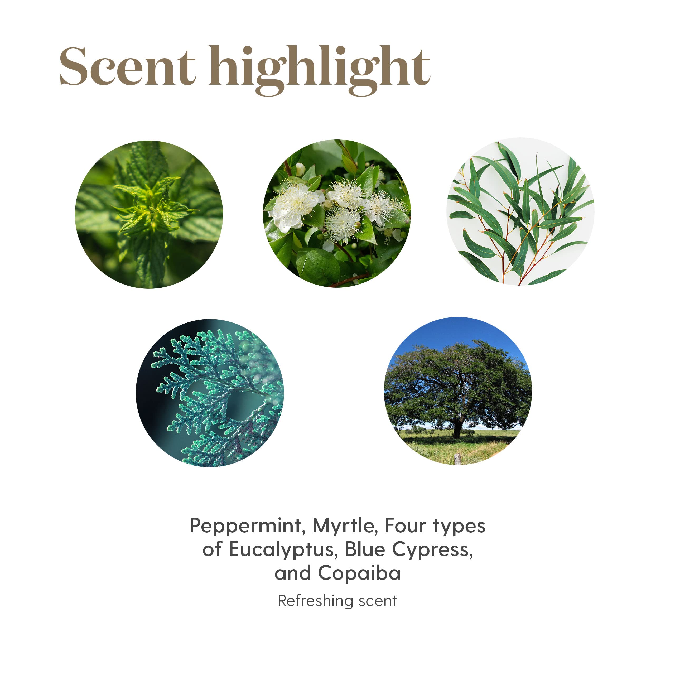 Young Living aplicación en muñeca para inhalación inmediata