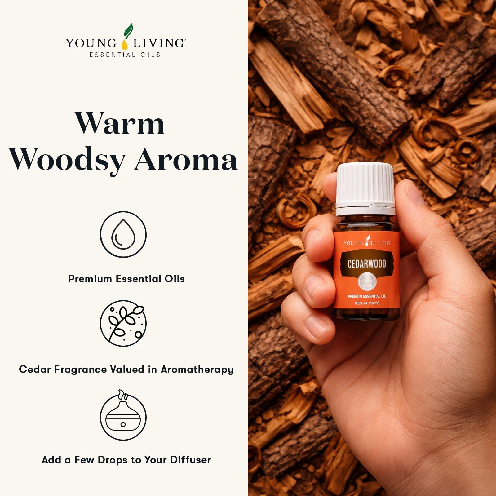 Young Living aceite en difusor creando ambiente cálido y relajante