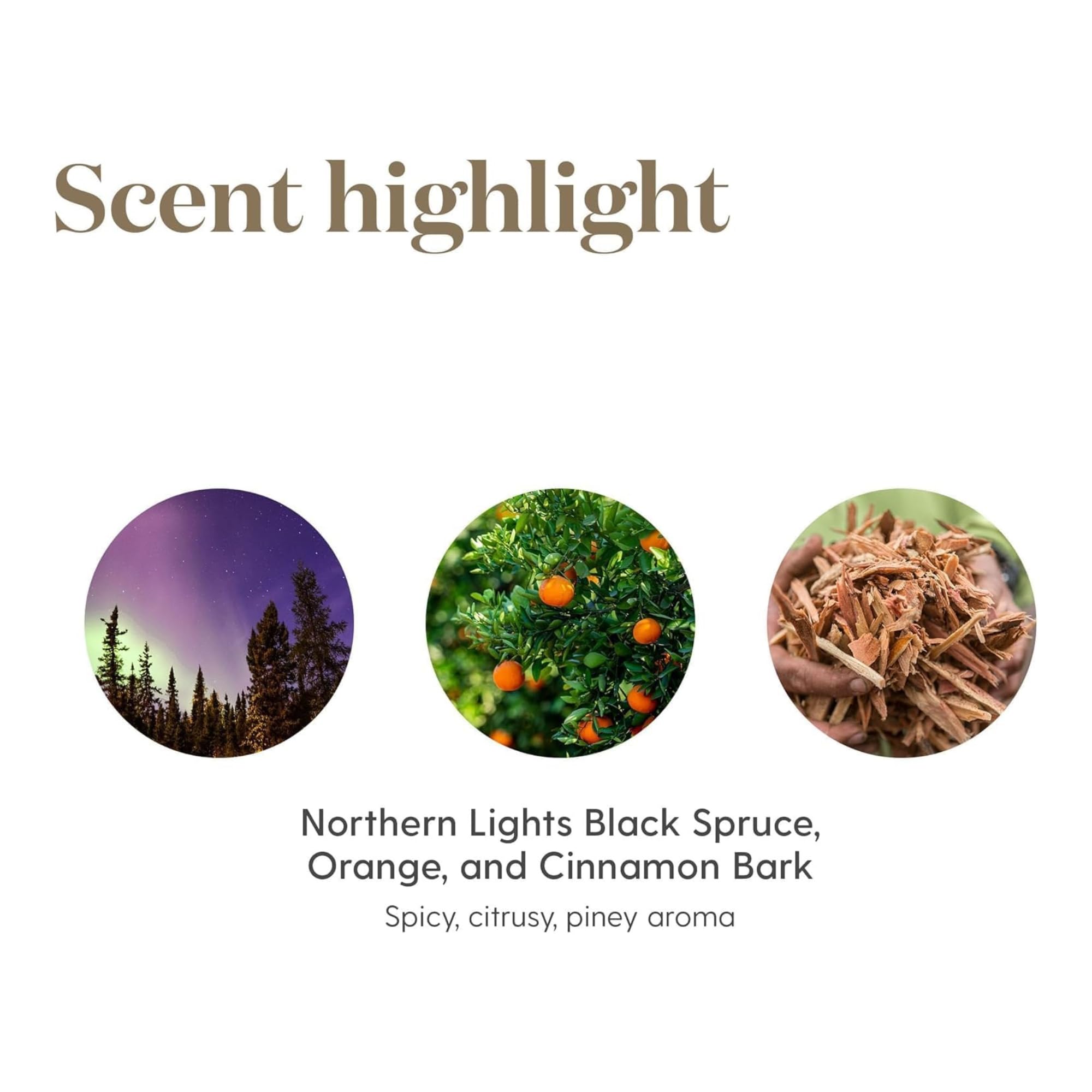 Comparación de tamaño del frasco Young Living Christmas Spirit 5 ml para escala
