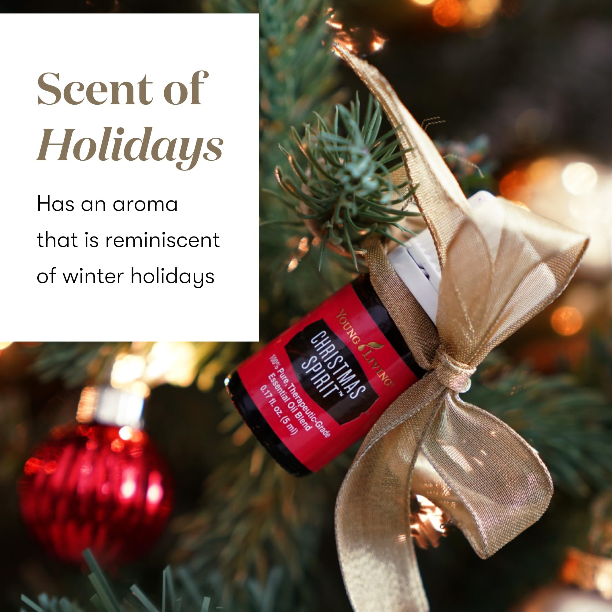 Gotas de Young Living Christmas Spirit sobre palma, textura y concentración aromática
