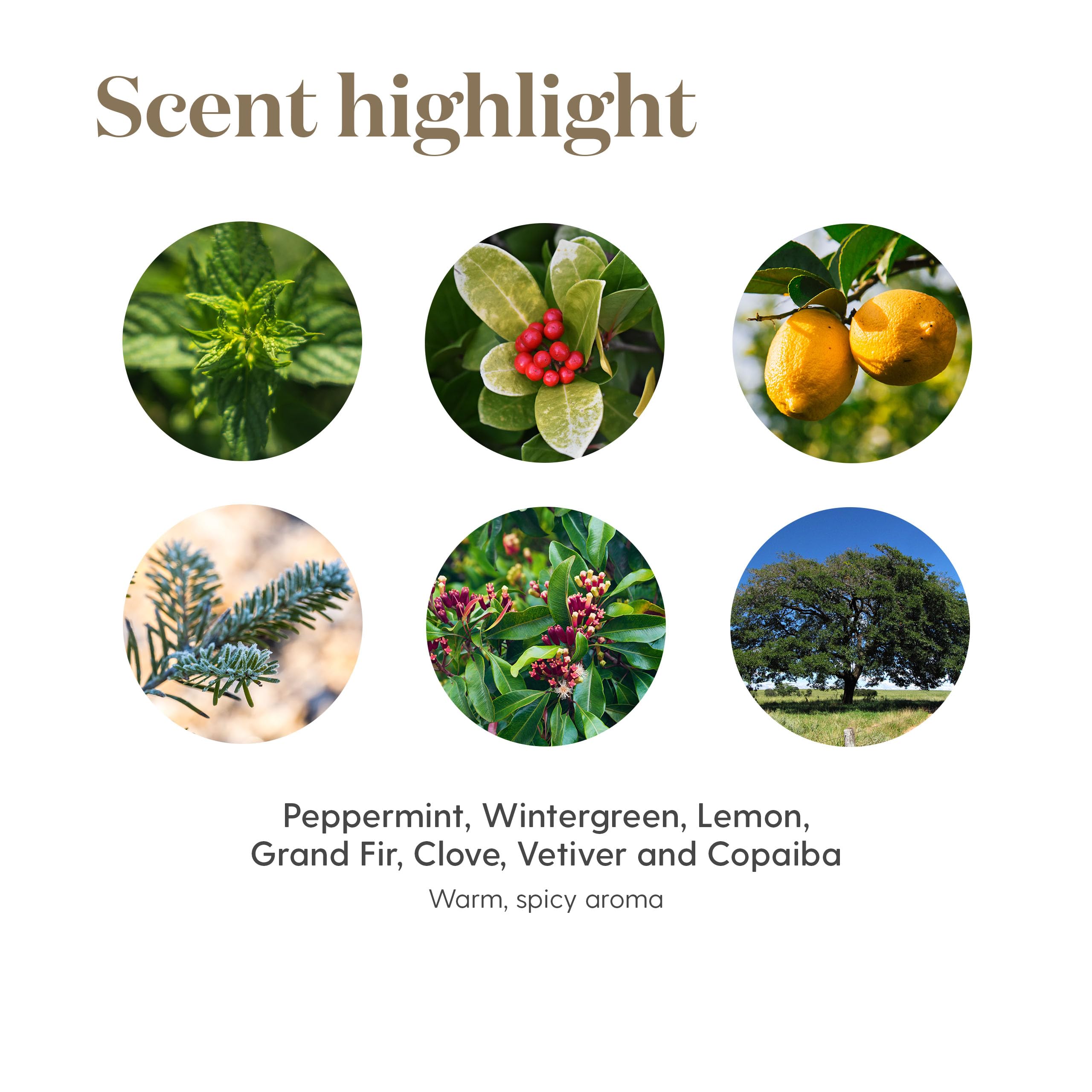 Young Living Deep Relief etiqueta visible con información clara del producto