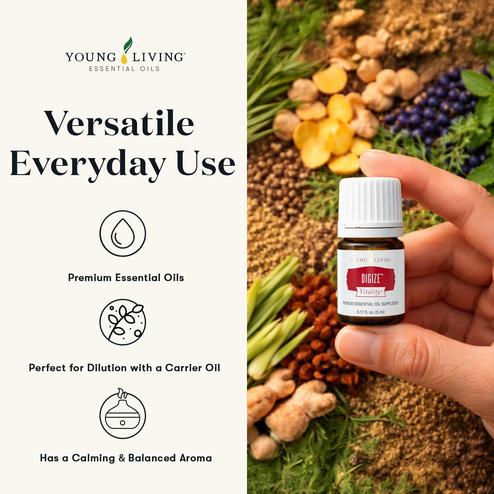 Young Living DiGize en difusor creando ambiente relajante en sala