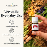 Young Living DiGize en difusor creando ambiente relajante en sala