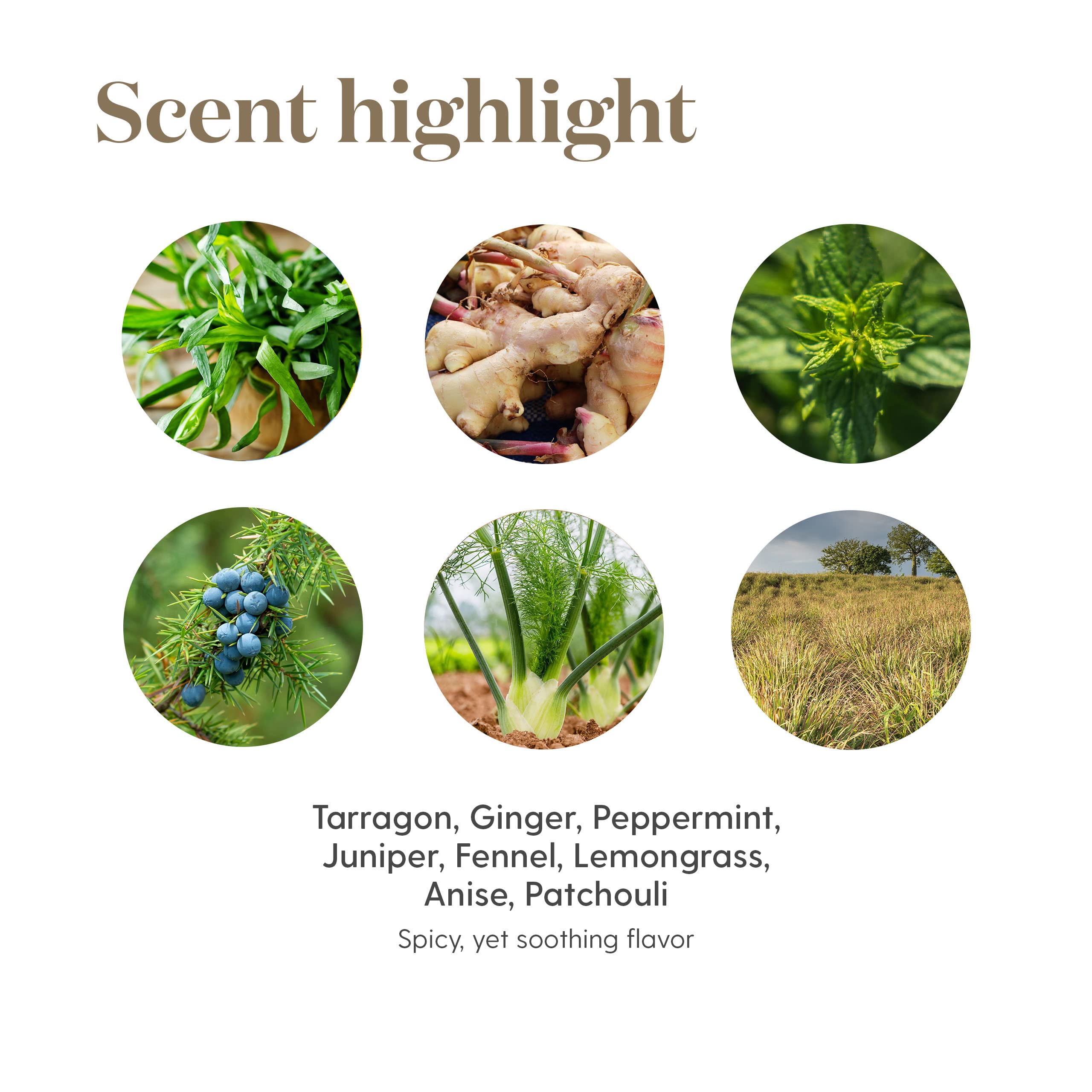 Young Living DiGize Vitality dentro de estuche de viaje, práctico para llevar
