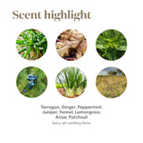 Young Living DiGize Vitality dentro de estuche de viaje, práctico para llevar