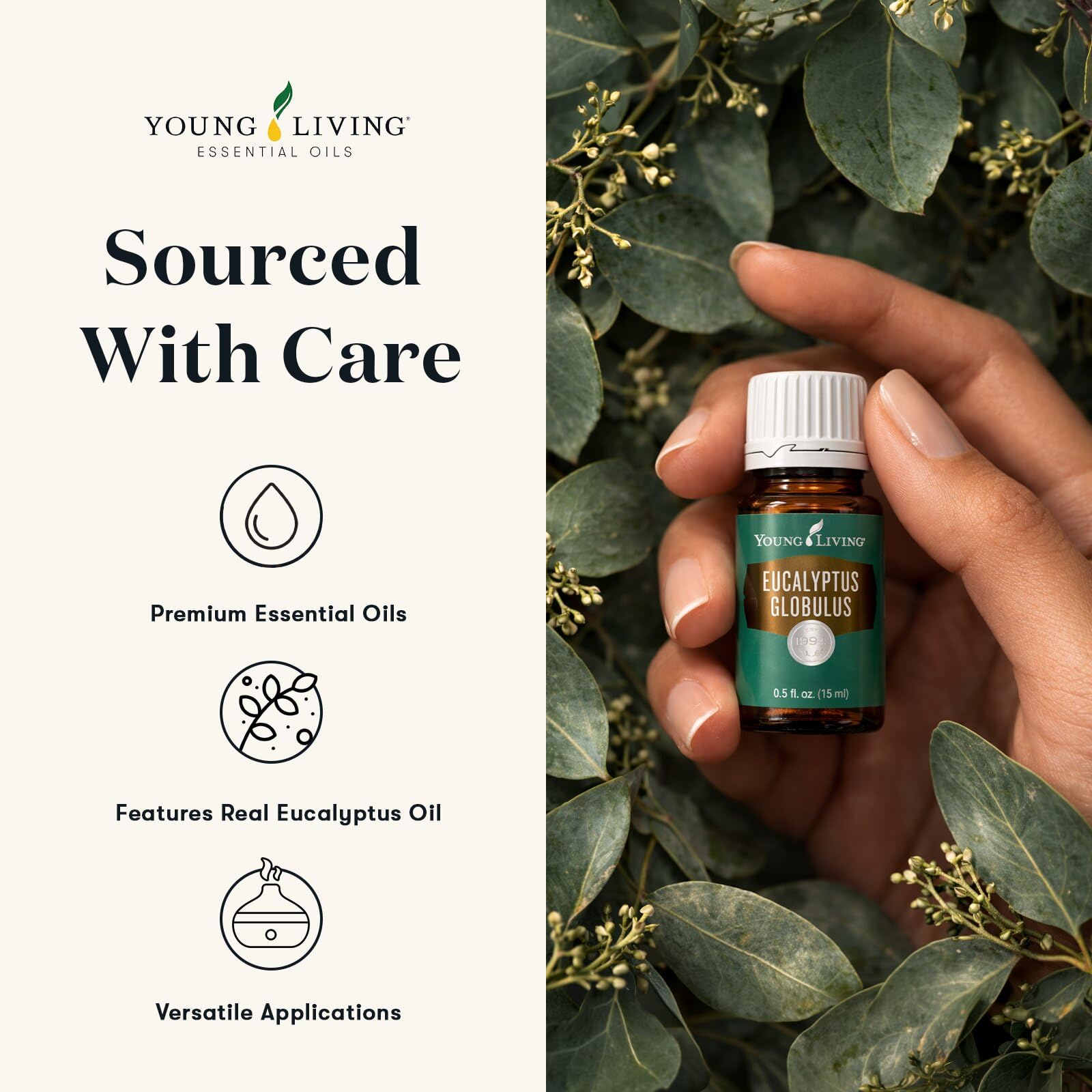 Young Living aceite Eucalyptus Globulus en difusor creando ambiente fresco y revitalizante