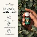 Young Living aceite Eucalyptus Globulus en difusor creando ambiente fresco y revitalizante