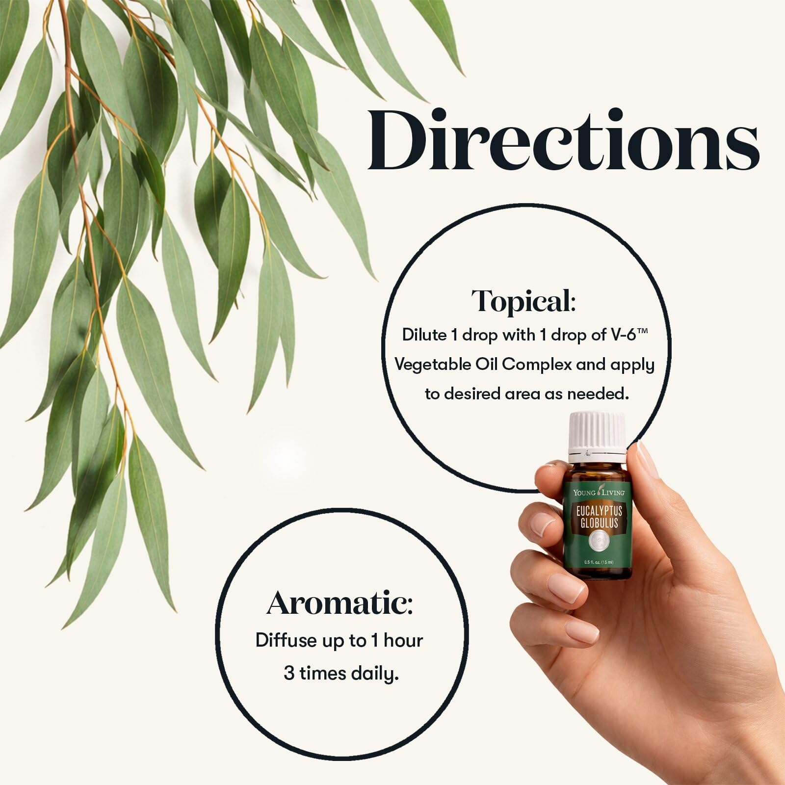 Young Living aceite Eucalyptus Globulus diluido en aceite portador listo para masaje relajante