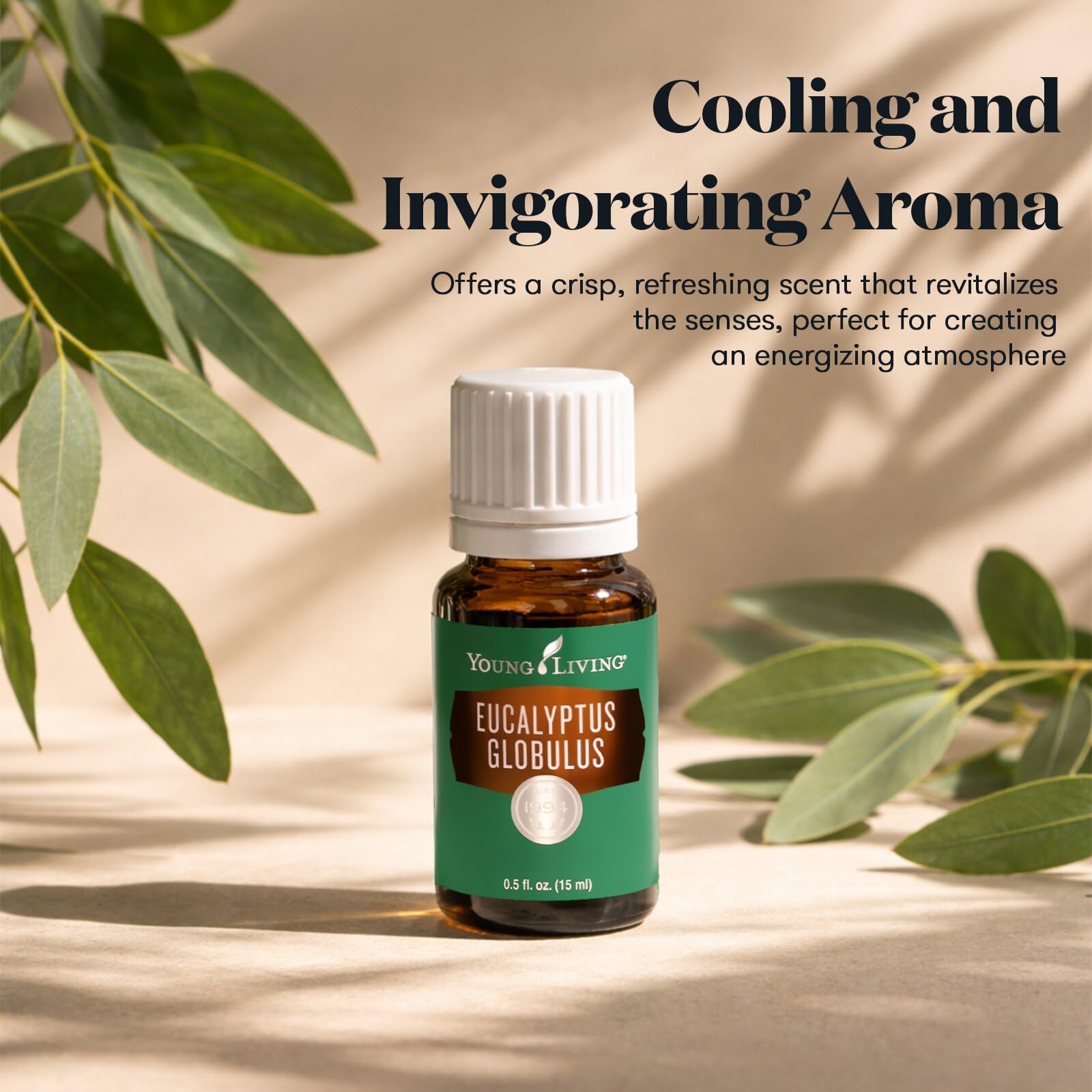 Young Living aceite Eucalyptus Globulus tapa con gotero para aplicación precisa y segura