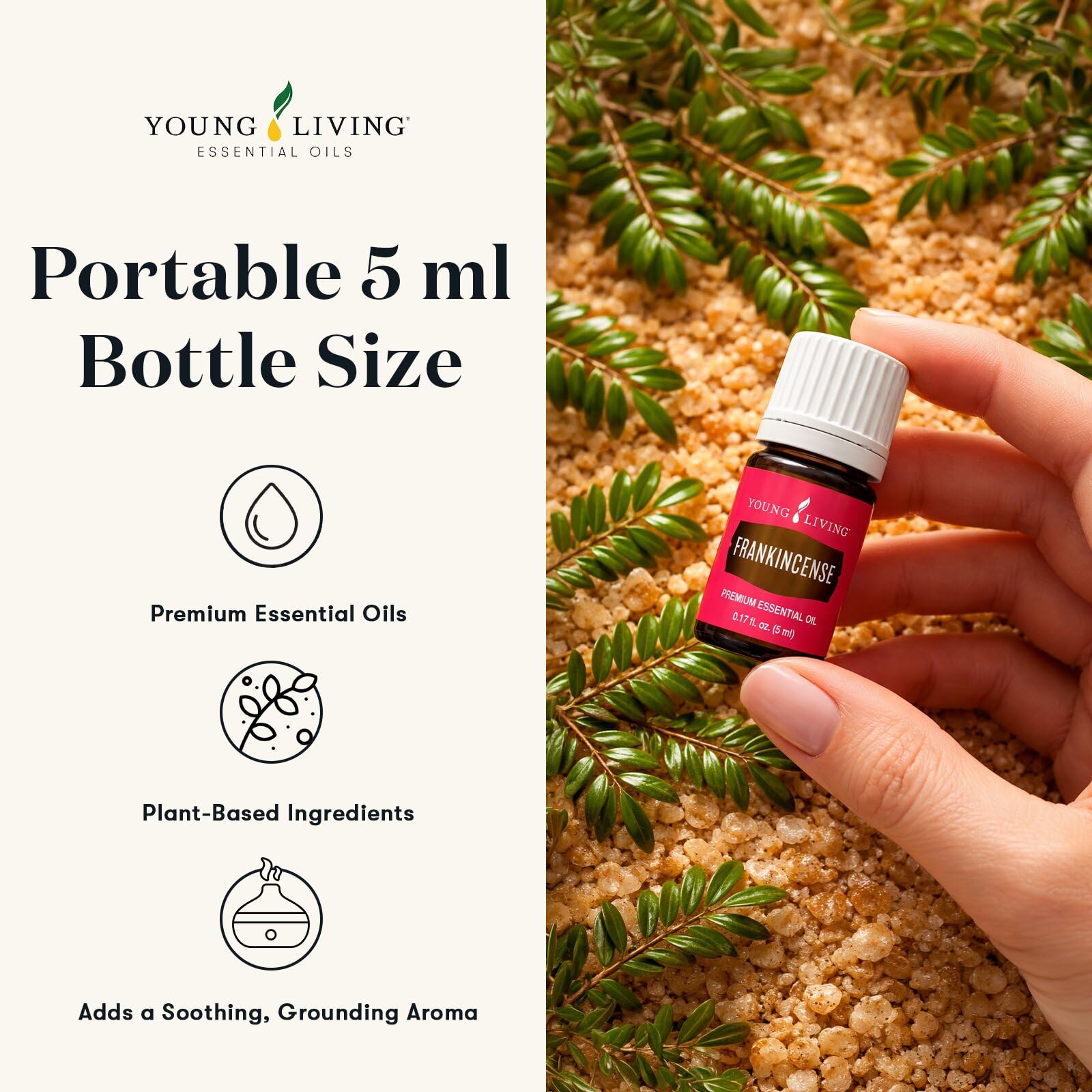 Young Living aceite en difusor creando ambiente relajante en habitación