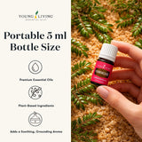 Young Living aceite en difusor creando ambiente relajante en habitación