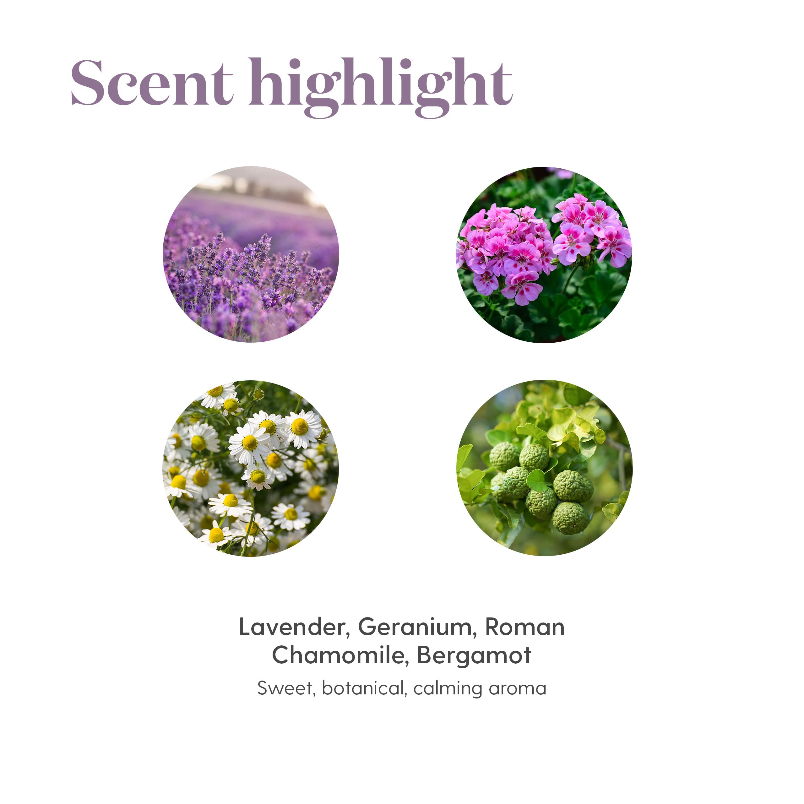 Young Living KidScents SleepyIze masaje en plantas de los pies para calma nocturna