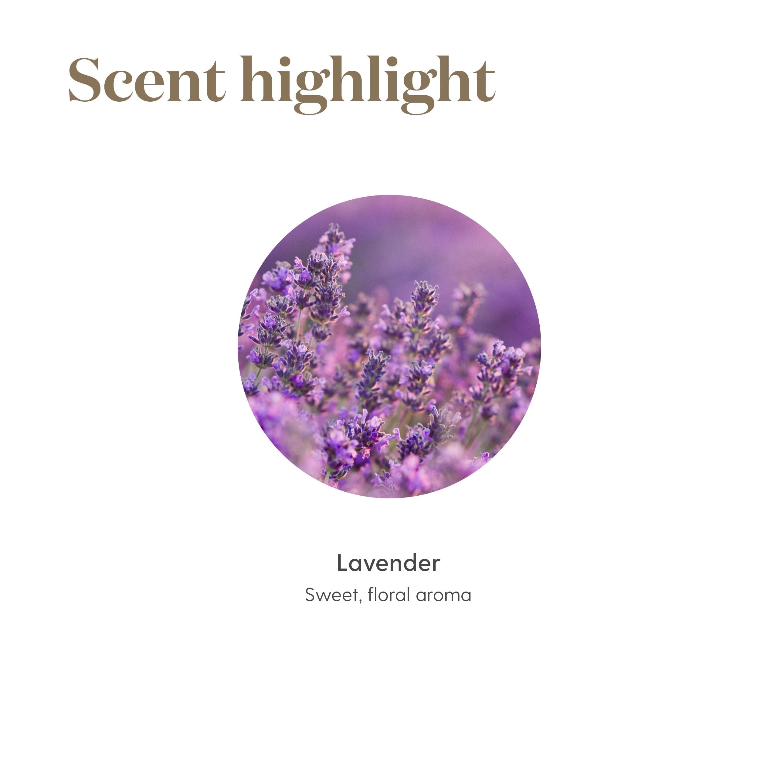 Young Living lavanda botella junto a una moneda mostrando tamaño 5 ml