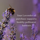 Young Living lavanda junto a objetos para comparar tamaño 15 ml portátil