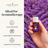 Young Living lavanda difusor en sala creando ambiente relajante y acogedor