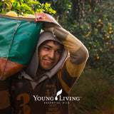 Young Living limón en botella junto a mezcla de limpieza casera en cocina