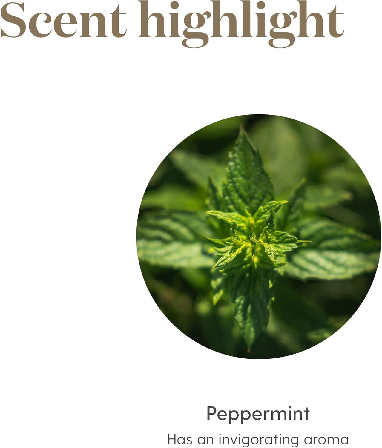 Young Living botella de 5 ml junto a una moneda para comparar tamaño compacto