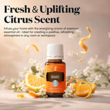 Detalle del frasco Young Living naranja con tapón y gotero visible