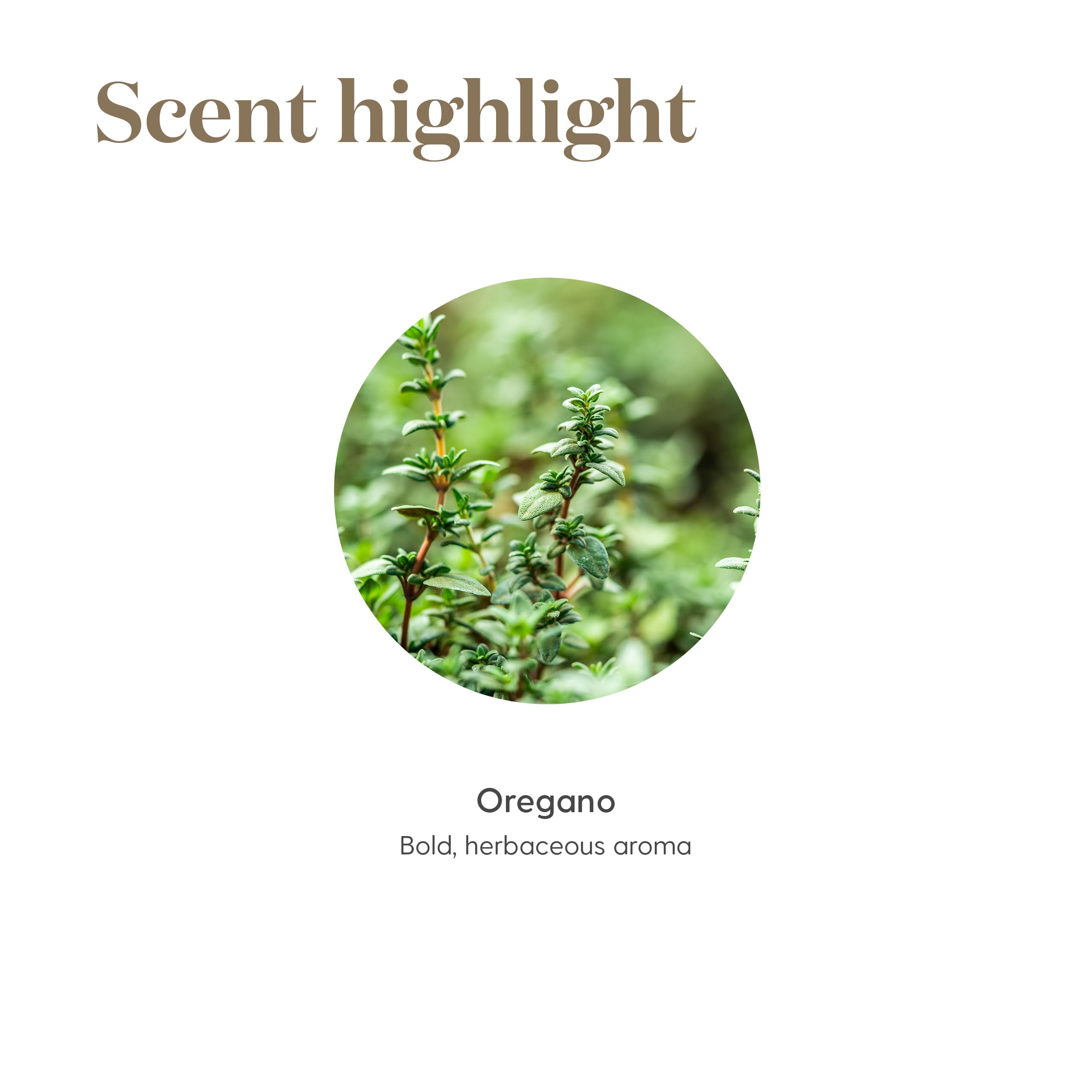Young Living frasco de 5 ml junto a referencia de tamaño práctico