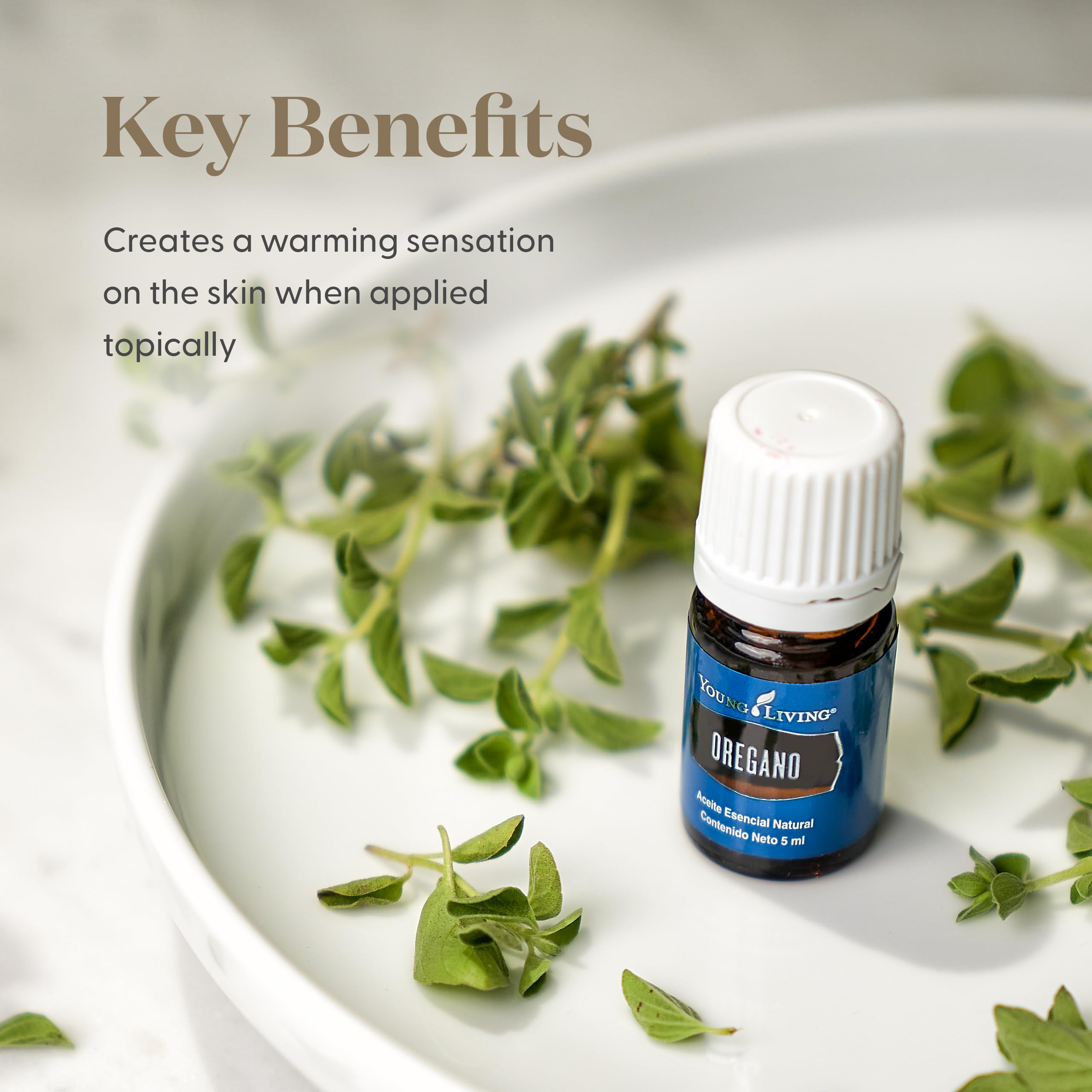 Young Living etiqueta del aceite de orégano con información clara