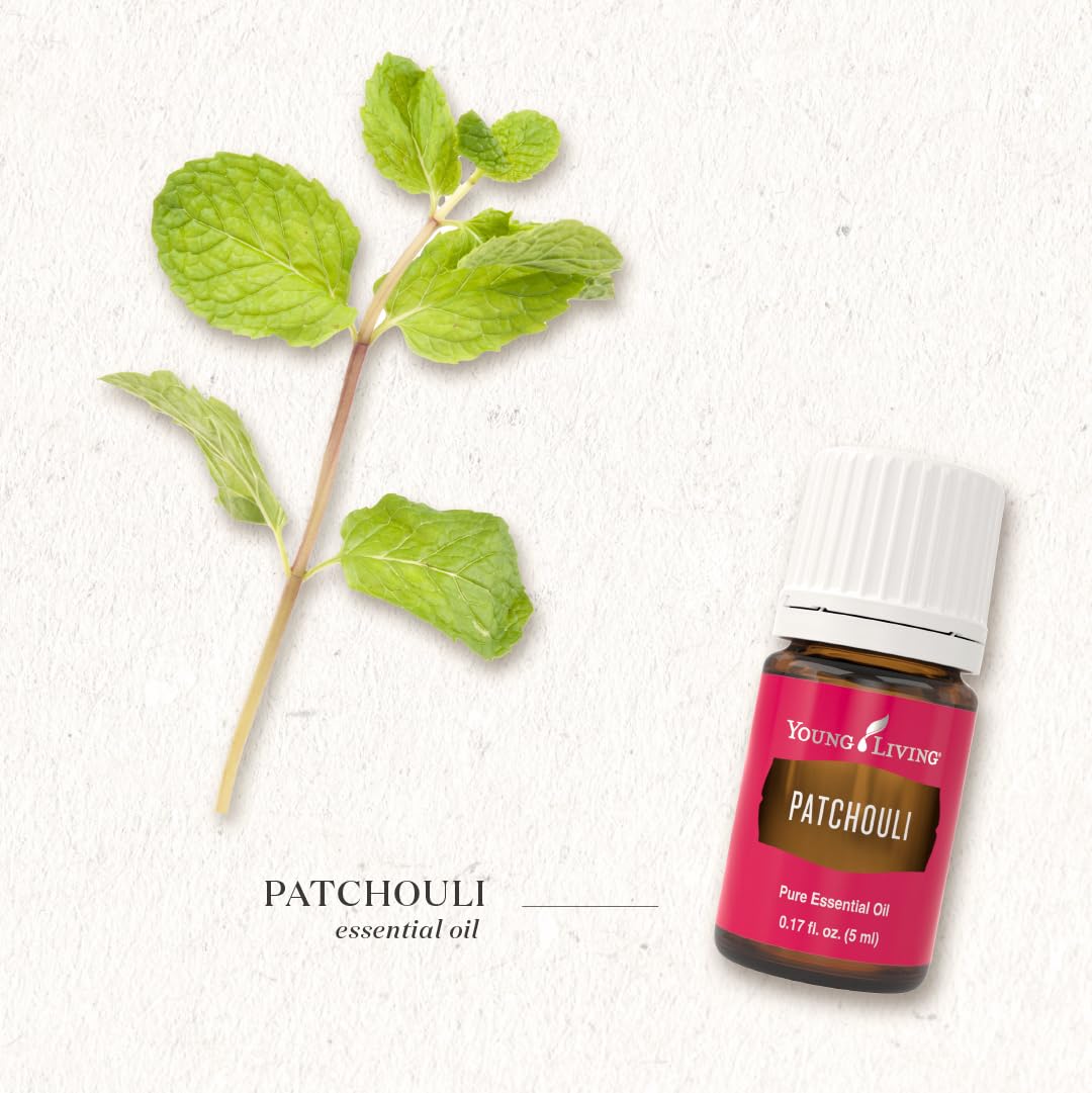 Young Living Patchouli en sala ambientada mostrando uso casero y sensación acogedora