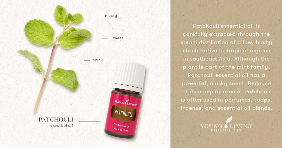 Young Living Patchouli junto a objetos diarios para comparar tamaño compacto y portabilidad
