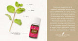 Young Living Patchouli junto a objetos diarios para comparar tamaño compacto y portabilidad